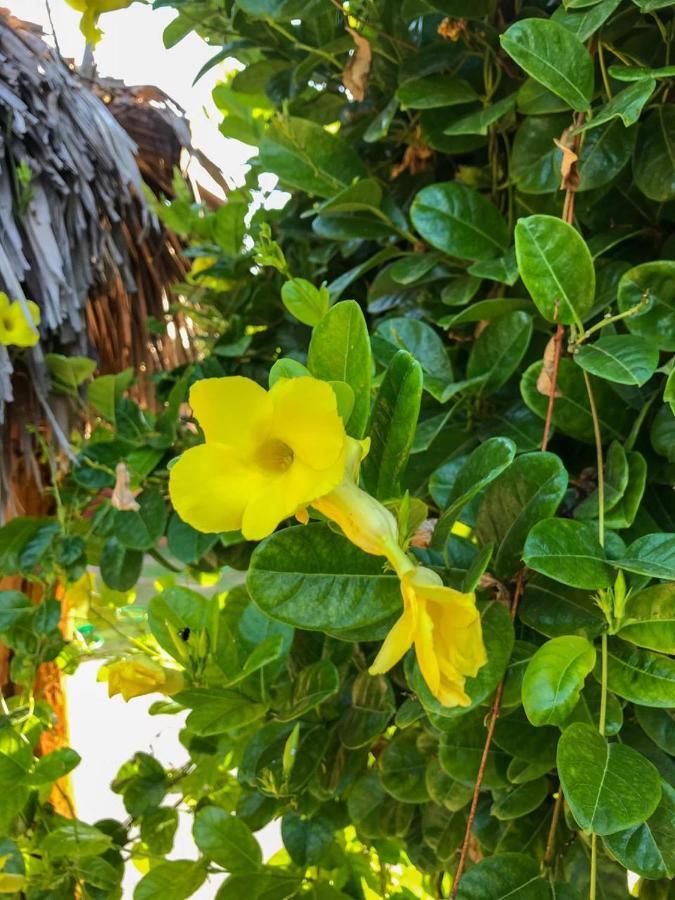 Pousada Aruna Kite Barra Grande  Bagian luar foto